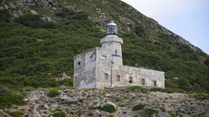 NA56_faro